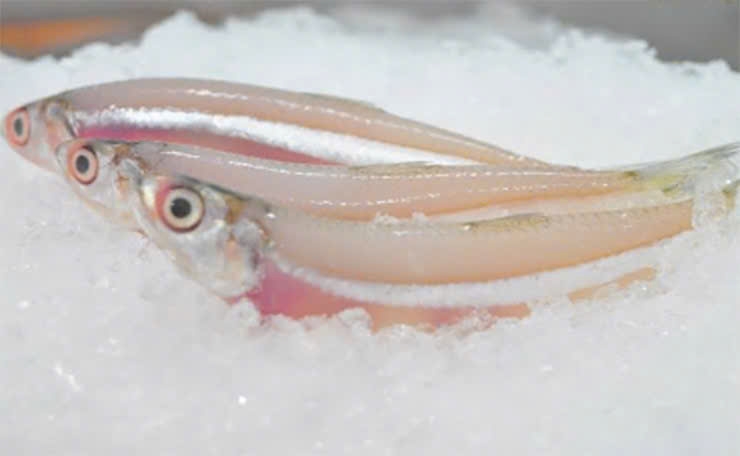 Loại cá "nhà nghèo" phơi khô bán gần nửa triệu/kg, thành đặc sản nổi tiếng